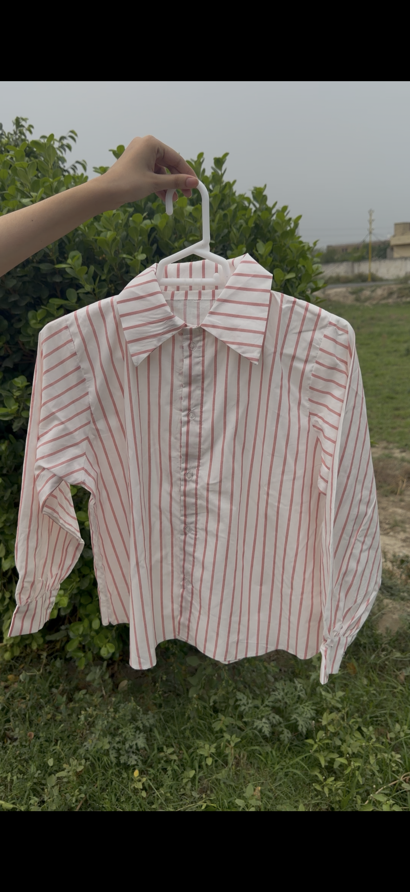 Pink Stripe Button Down
