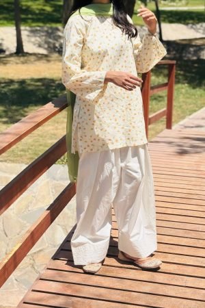 Noor-e-Bahar Kurti
